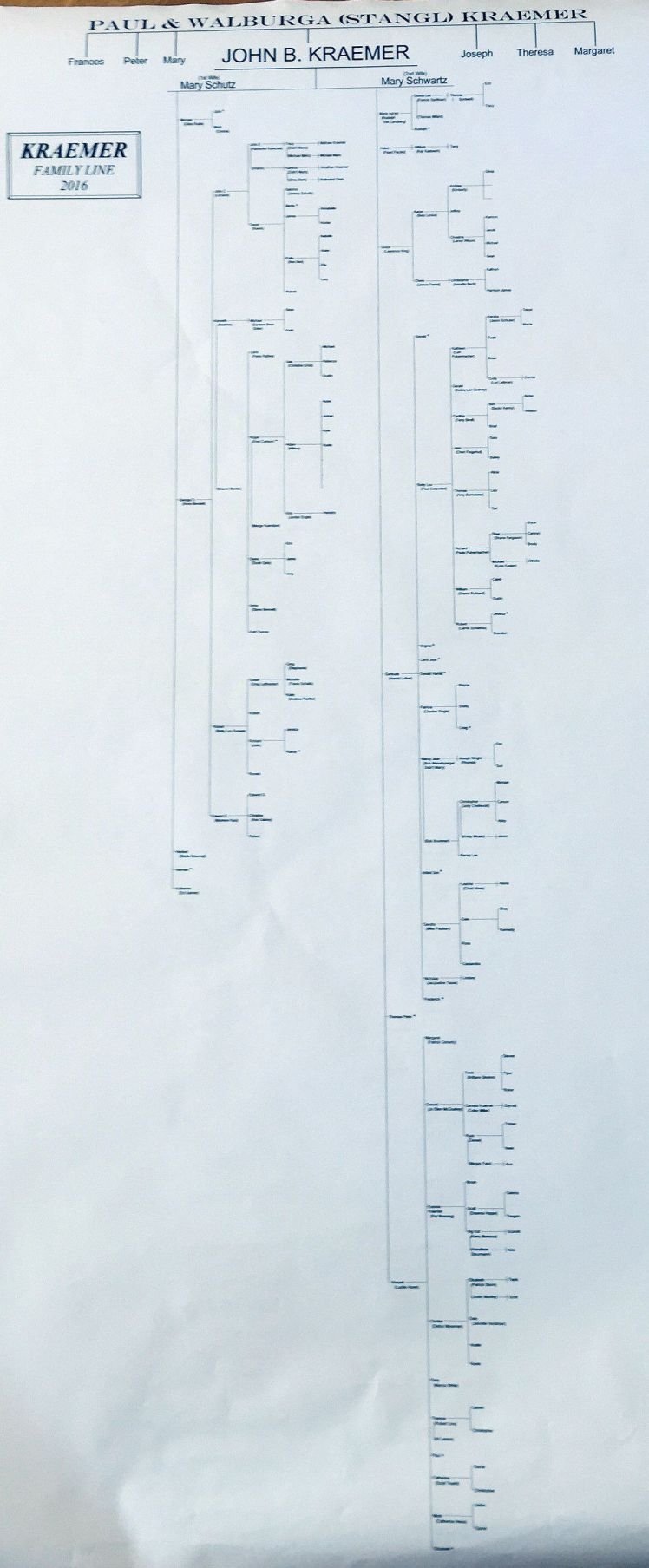 john-kraemer-tree-cropped